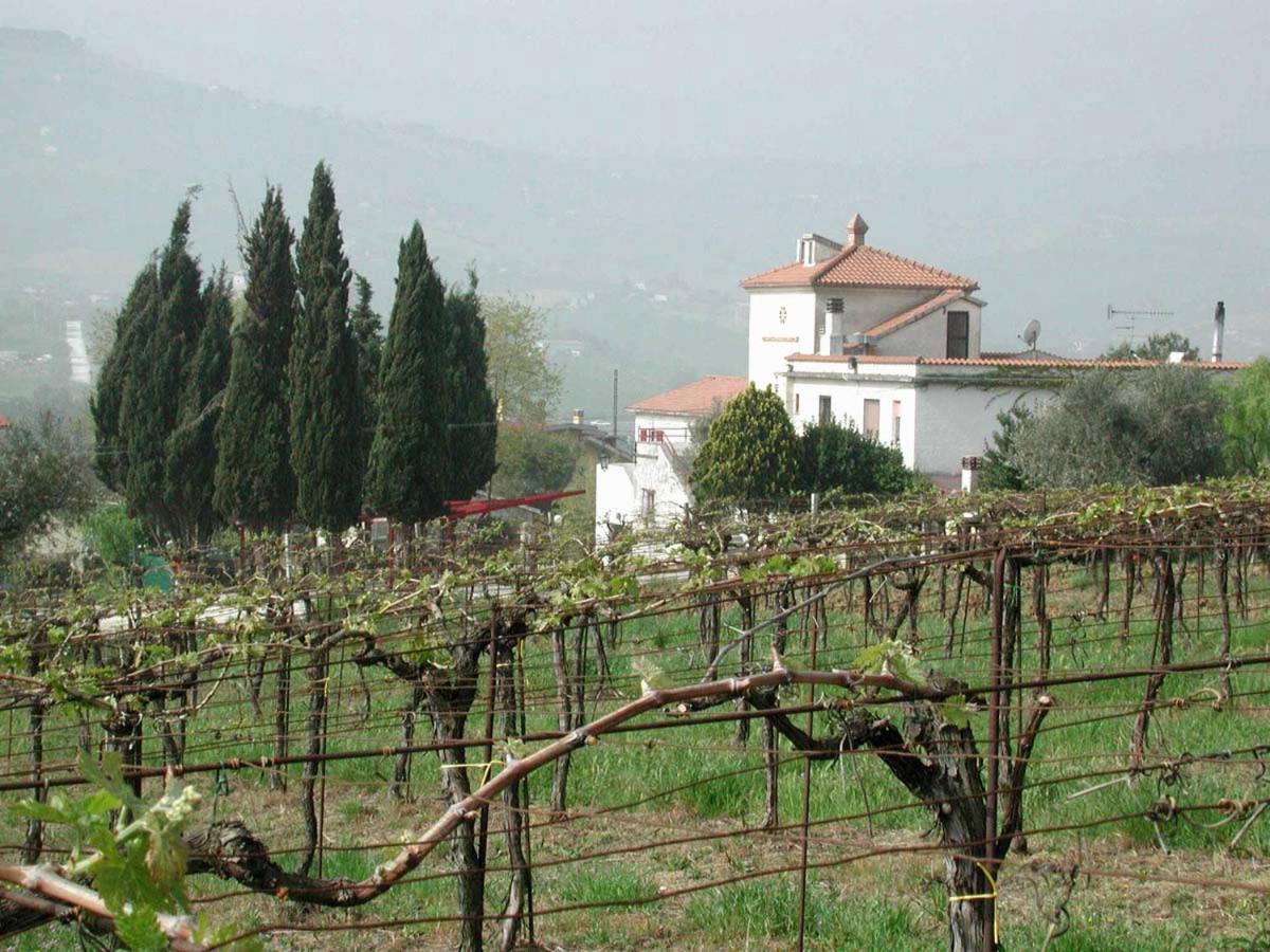 Pier Delle Vigne B&B Пинето Экстерьер фото