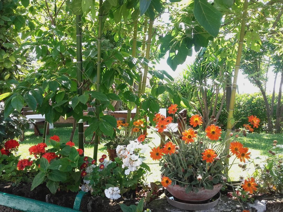 Pier Delle Vigne B&B Пинето Экстерьер фото