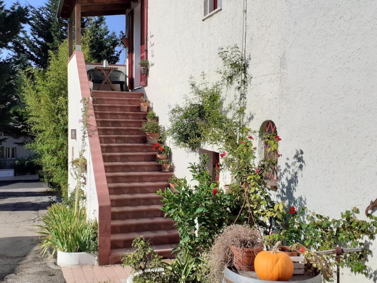 Pier Delle Vigne B&B Пинето Экстерьер фото