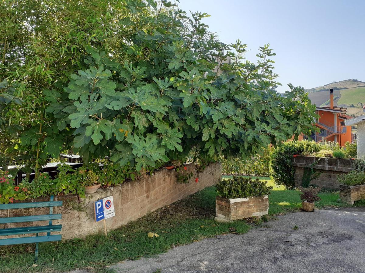 Pier Delle Vigne B&B Пинето Экстерьер фото