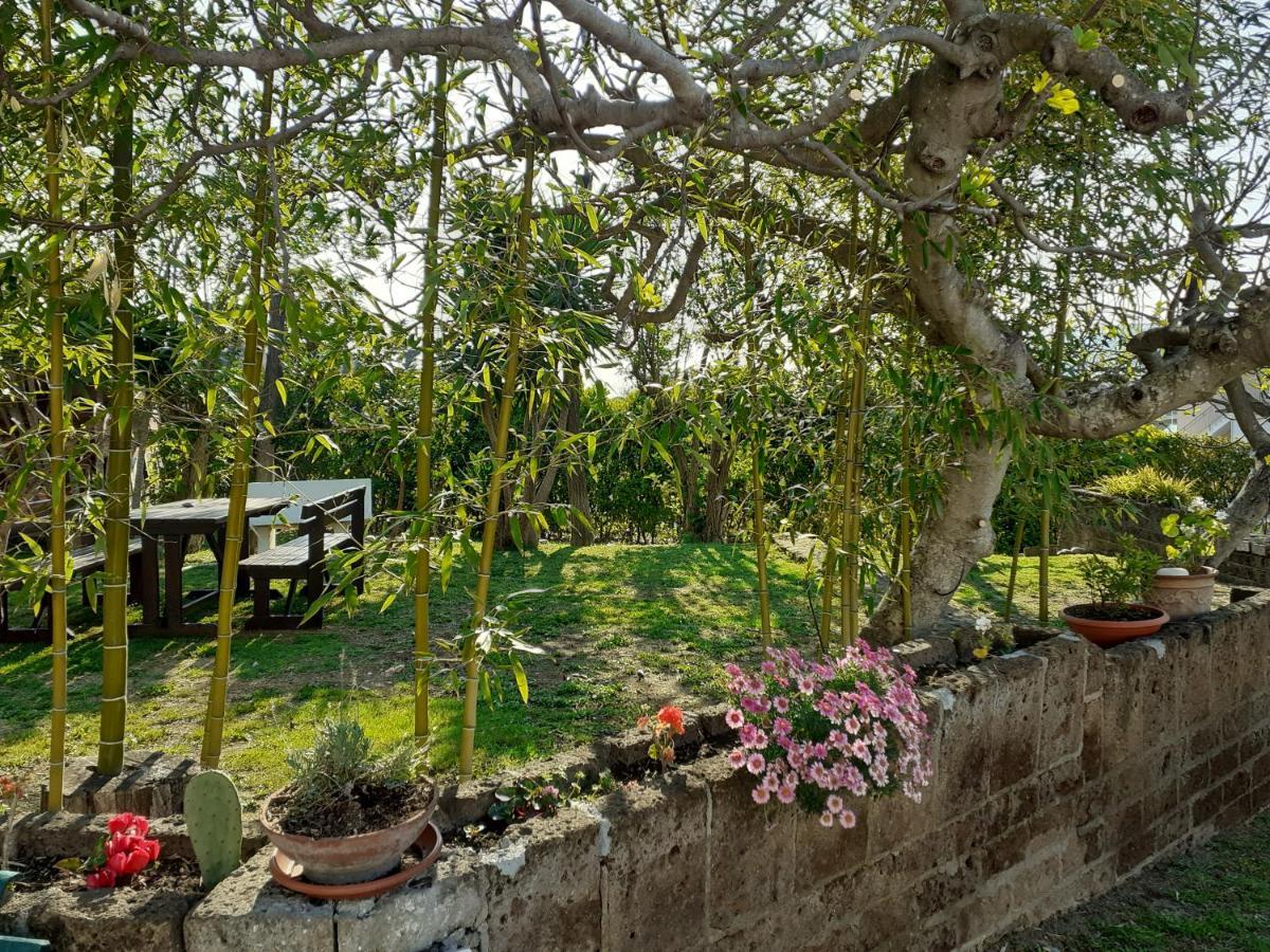 Pier Delle Vigne B&B Пинето Экстерьер фото